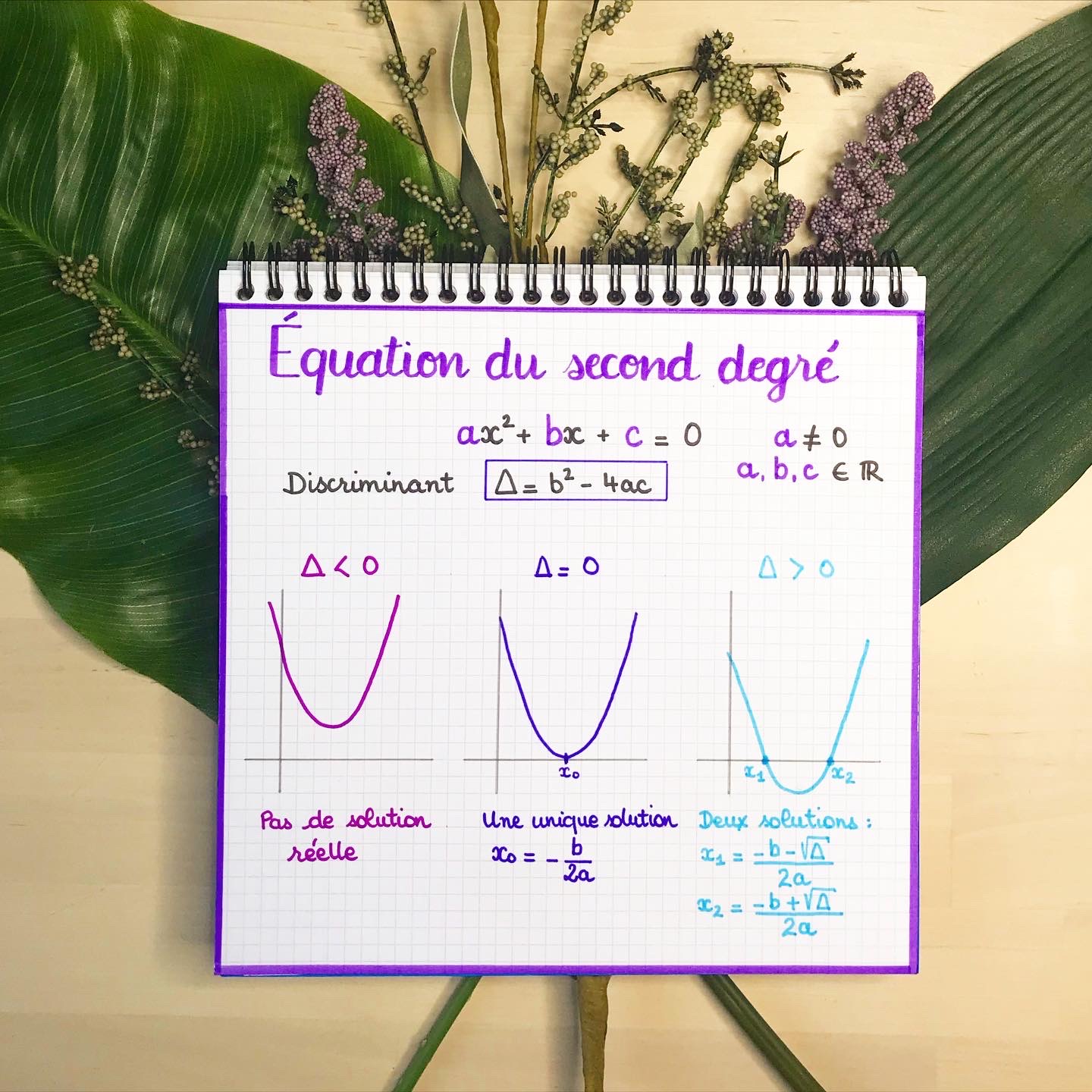 LMS Cours Sur Les Polyn mes Du Second Degr Sp Math matiques Premi re